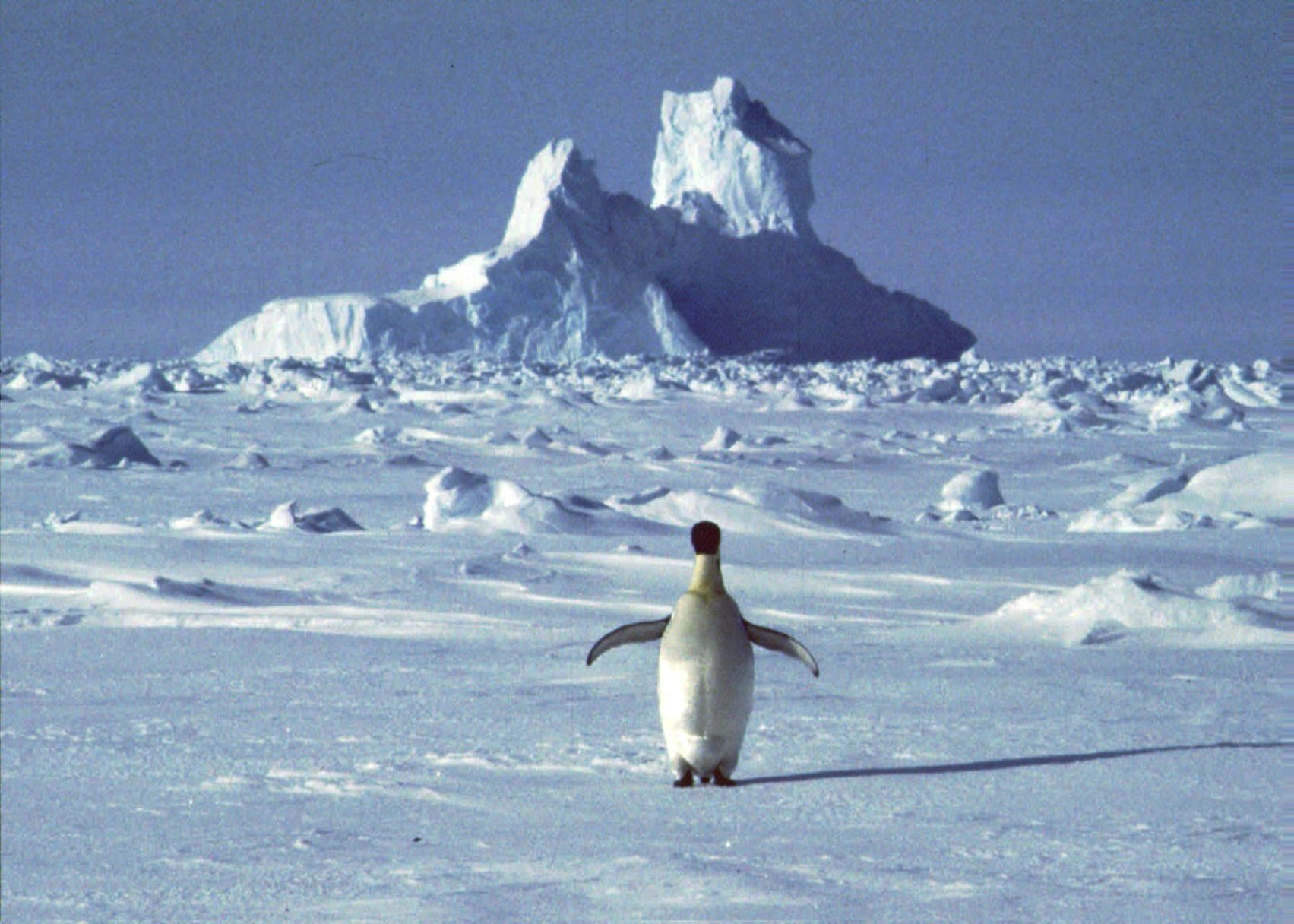 Antarctica